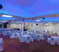 Event Venues