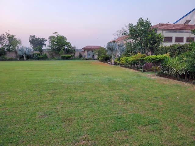 Gardens and Lawns
