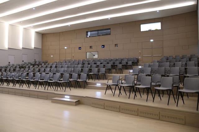 Audimax Auditorium at Frankfurt School: modern tiered seating for lectures and presentations.