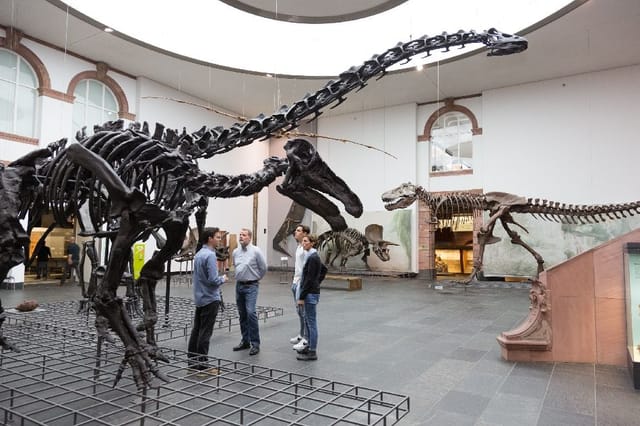 Atrium 2 at Senckenberg Naturmuseum: dinosaur skeleton venue for unique events.
