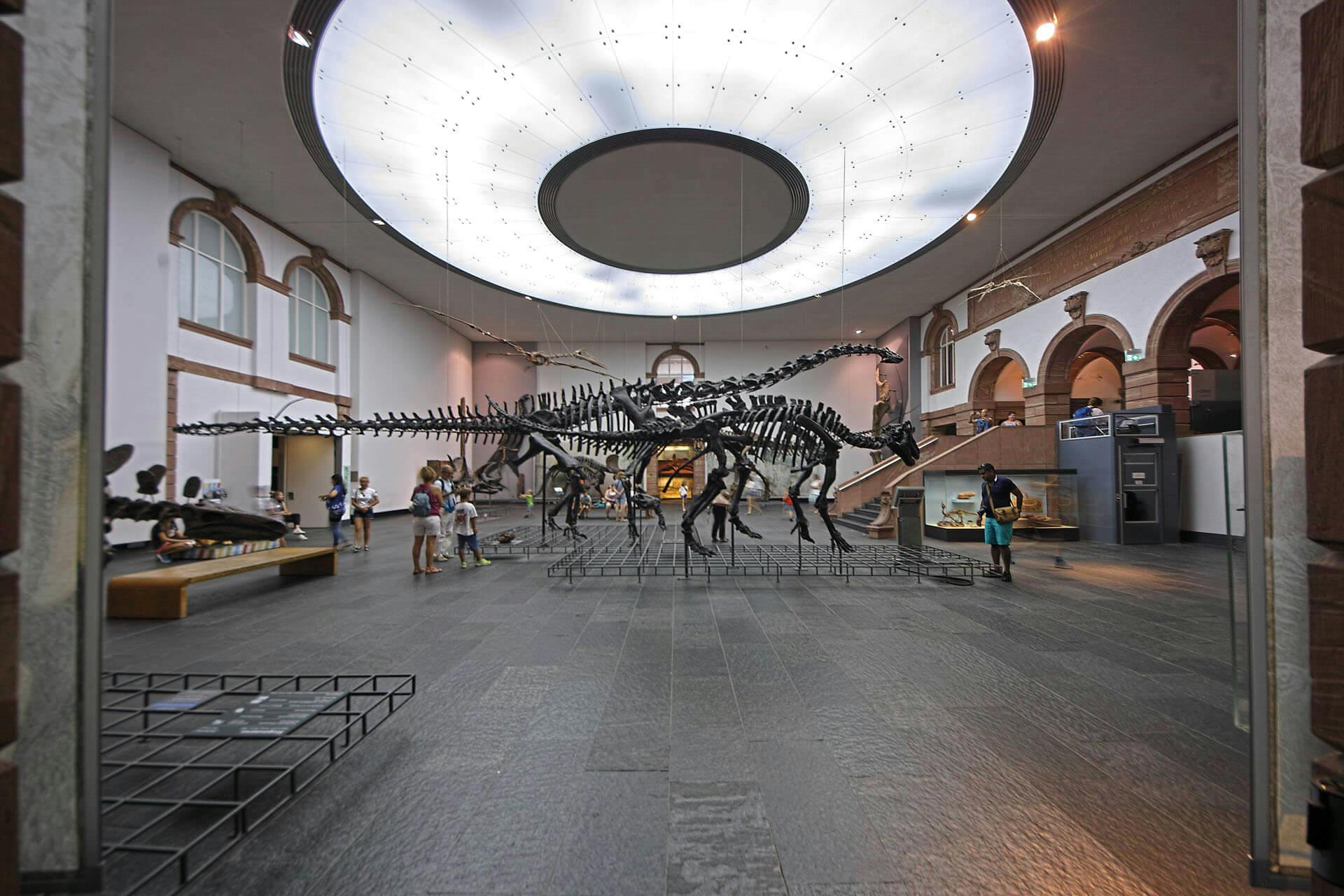 Senckenberg-Naturmuseum Frankfurt am ...