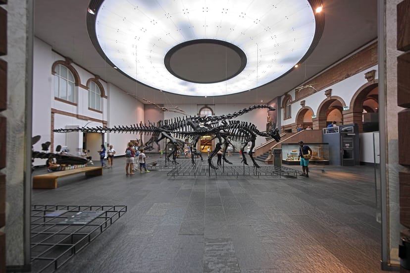 Atrium 2, Senckenberg Naturmuseum: modern event space with a dinosaur skeleton.