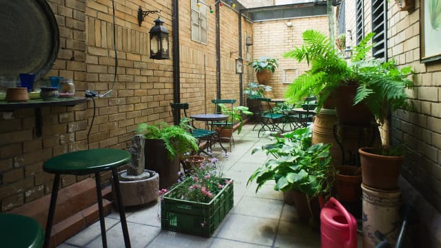 Charming hotel bar with greenery, ideal for intimate gatherings and networking events.