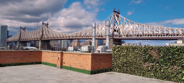 Penthouse and Roof