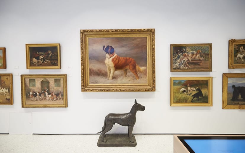 Community Wall at AKC Museum of the Dog, ideal for art exhibitions and networking events.