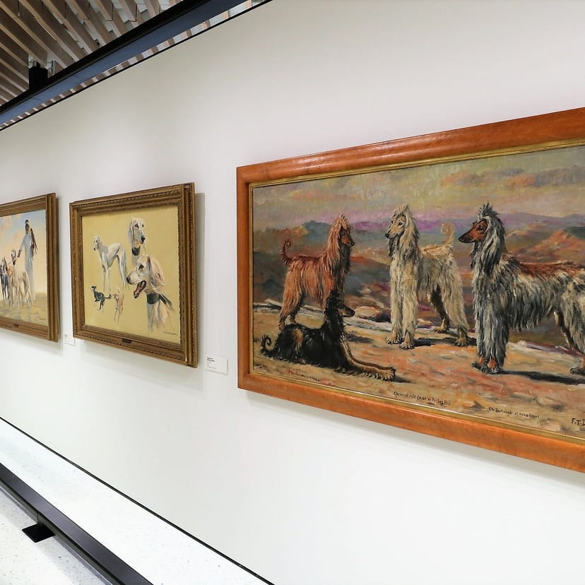 AKC Museum of the Dog gallery wall with dog-themed paintings, perfect for pet events.