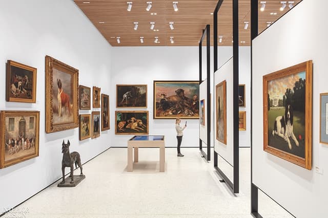 Galleries
