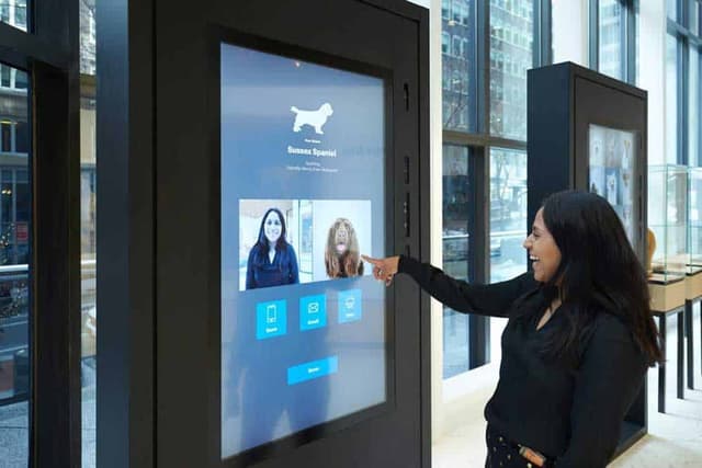 Interactive Experiences