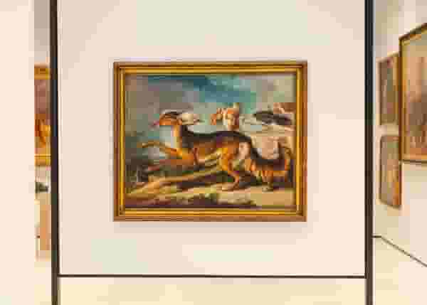Exhibitions