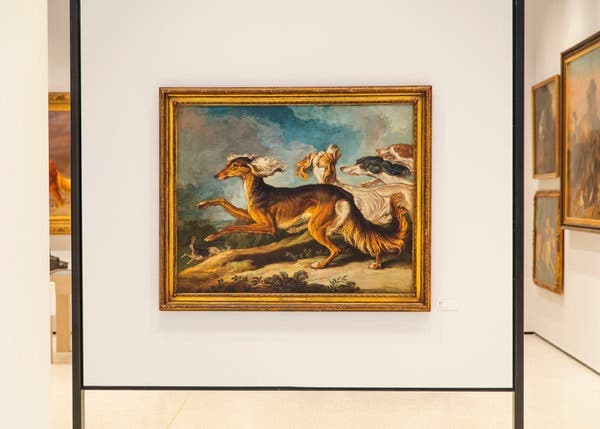 Exhibitions