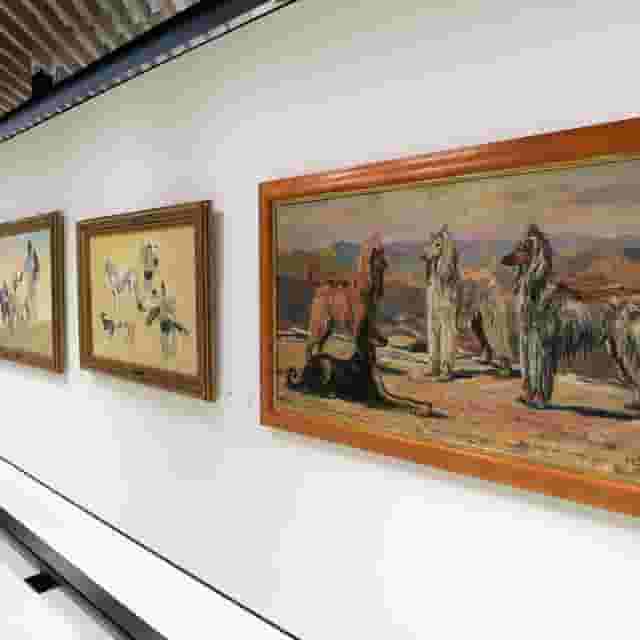 Exhibitions