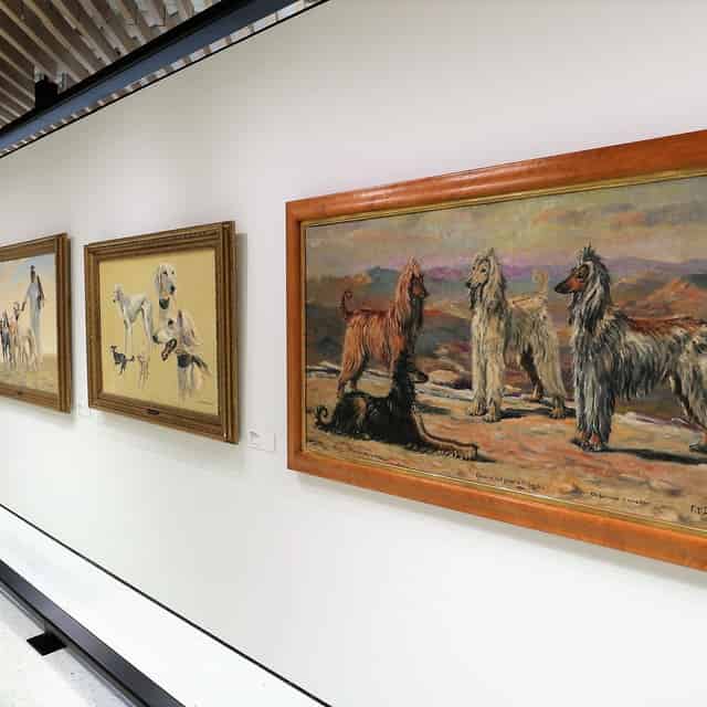 Exhibitions
