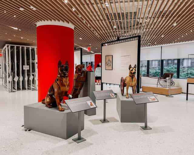 Exhibitions