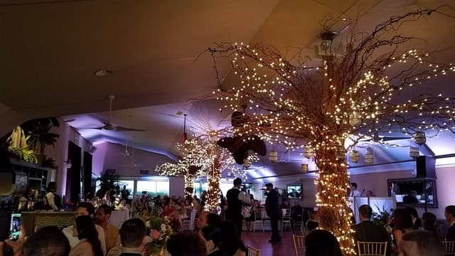Palm Room