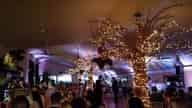 Christmas Party Venues