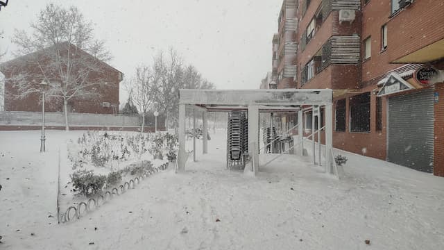 Cristal Area
