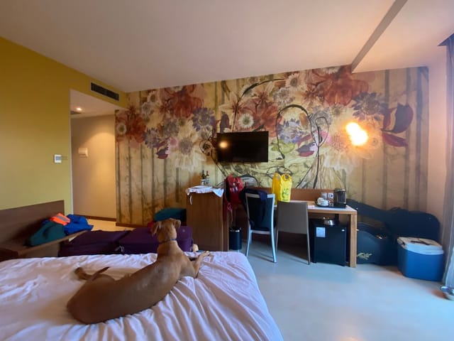Contemporary hotel room with floral wallpaper for informal meetings or retreats.