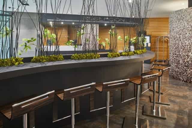 Cafe/Bar