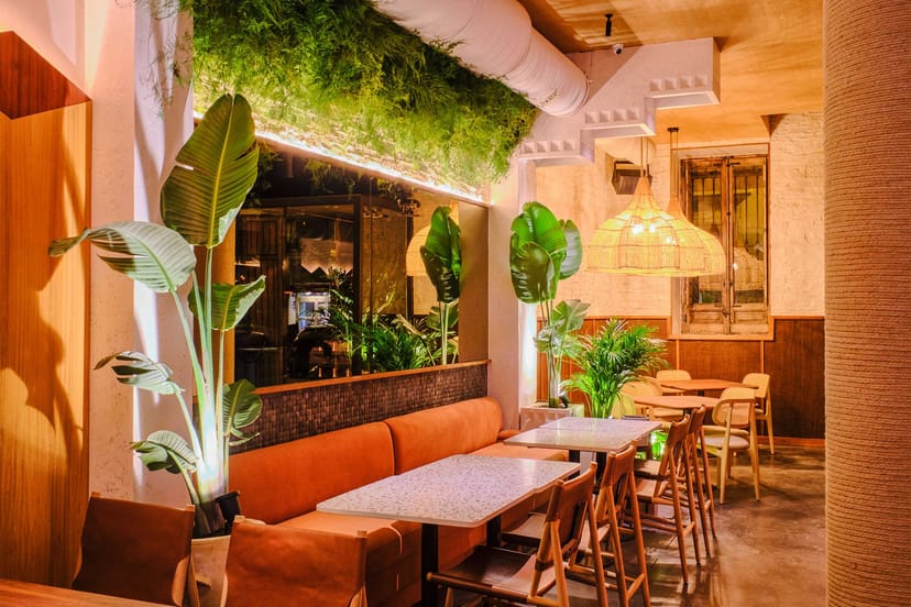 Vibrant Barracuda Mx event space with lush greenery for intimate gatherings and meetings.