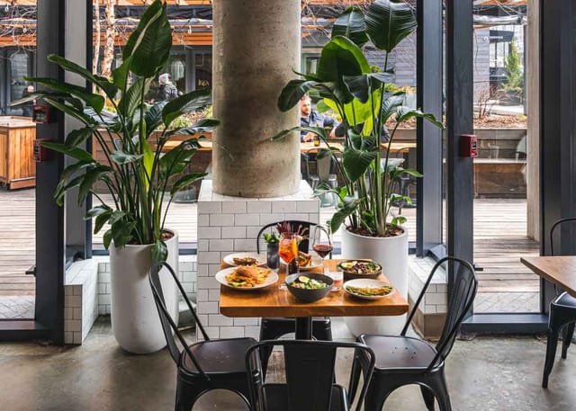 Stylish cafe with greenery, ideal for intimate meetings and networking lunches.