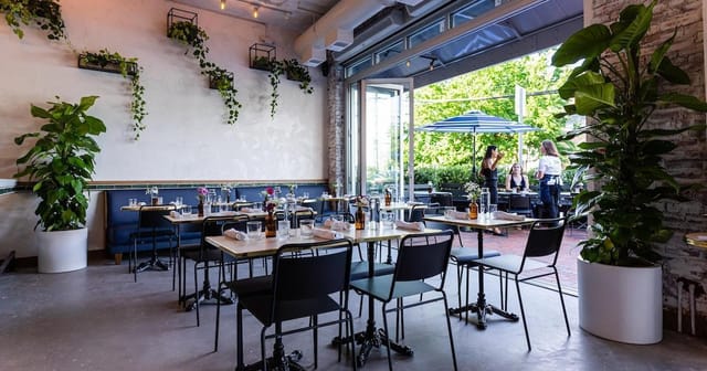 Vibrant event space with greenery for networking and casual meetings at Isla & Co.