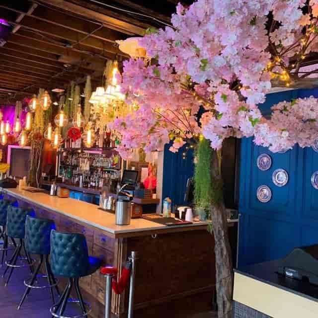 Vibrant bar with cherry blossoms at Harlot DC, perfect for cocktail receptions or gatherings.