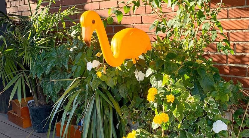 "Vibrant garden at Hook Hall with orange flamingo, ideal for summer parties and networking."