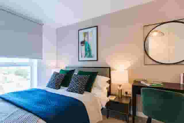 The Buzz Rooms