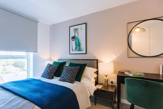 The Buzz Rooms