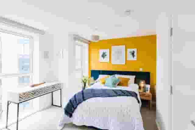 The Buzz Rooms