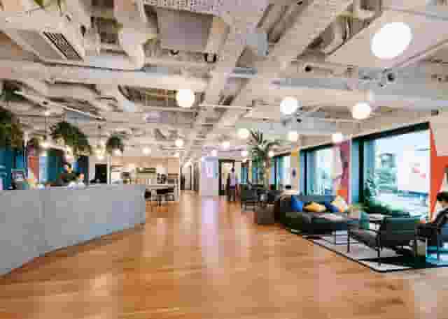 The Buzz Rooms