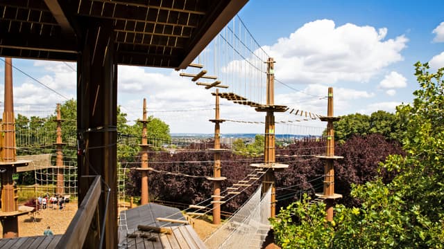Treetop Challenge Xpress