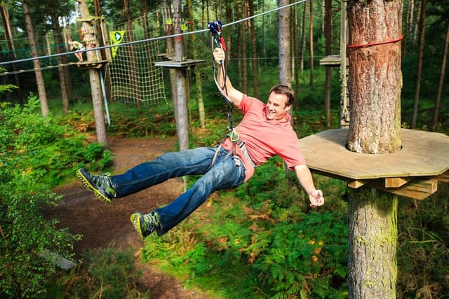 Treetop Challenge Xpress