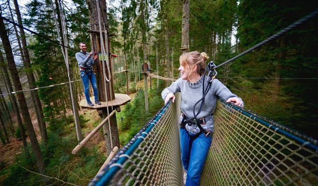 Treetop Challenge Xpress