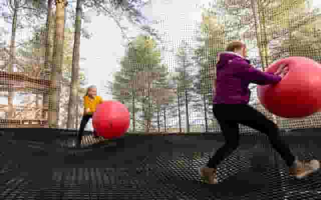 Go Ape Sherwood Pines