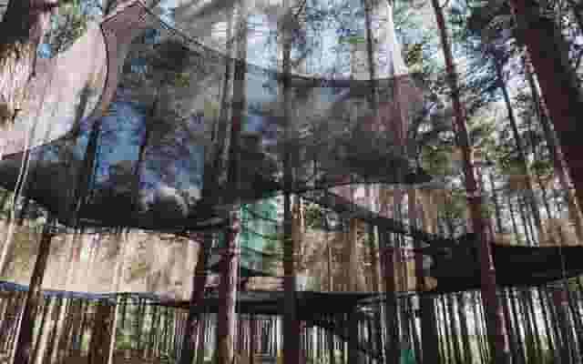 Go Ape Sherwood Pines