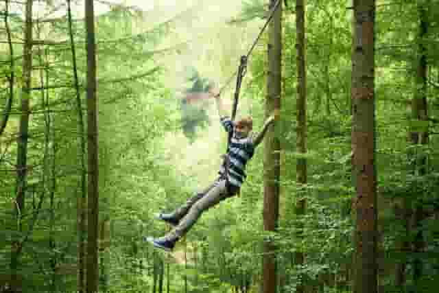 Go Ape Sherwood Pines