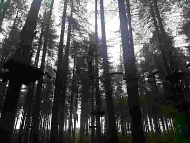 Go Ape Sherwood Pines
