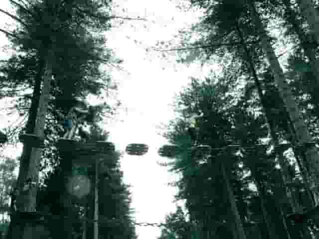 Go Ape Sherwood Pines