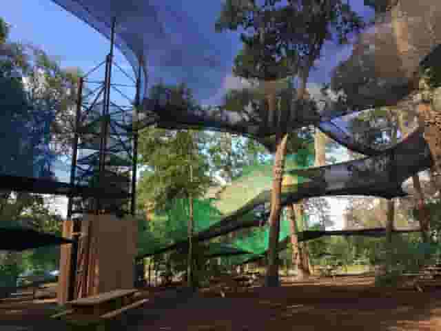 Go Ape Sherwood Pines