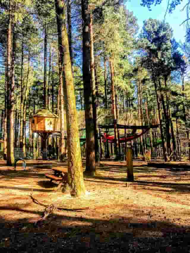 Go Ape Sherwood Pines