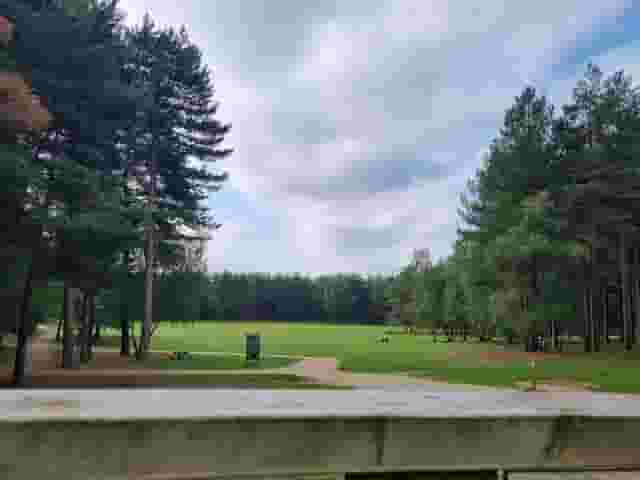 Go Ape Sherwood Pines