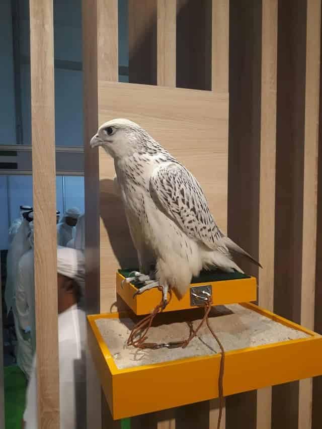 ADNEC Centre Abu Dhabi