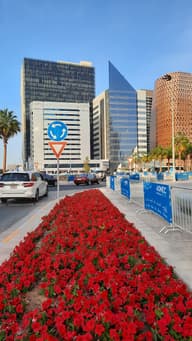 Christmas Party Venues