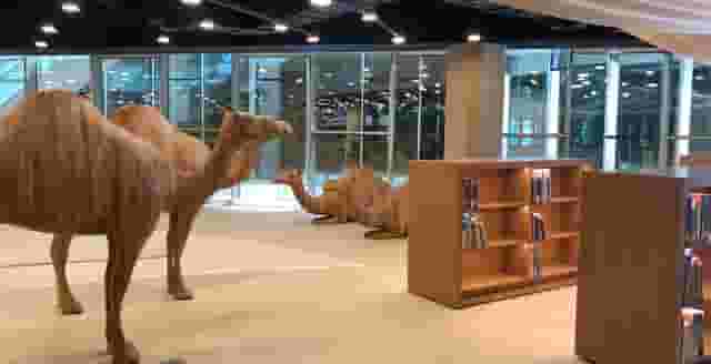 Children's library
