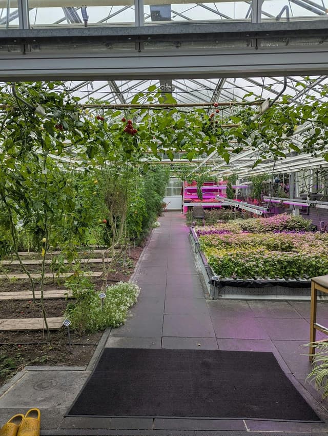 Garden Room