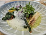 Sustainable Venues