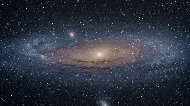 ARTIS - Planetarium | Museumnacht Amsterdam