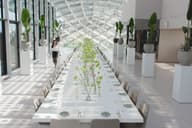 Conference Venues