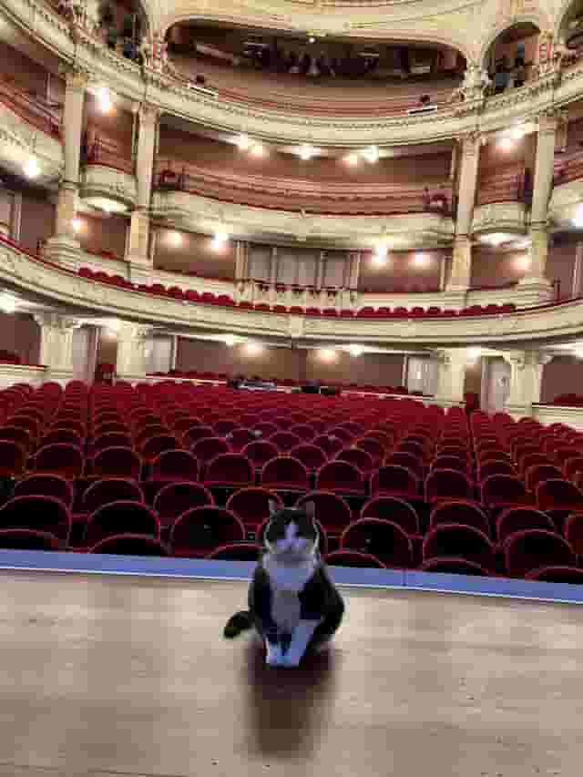 Grote Zaal